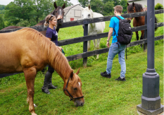 Glenholme Equestrian Program