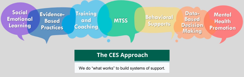 The CES Approach