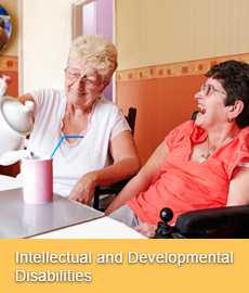 Devereux programs - Intellectual and Developmental Disabilities